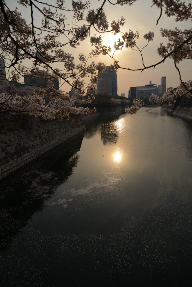 Osaka Castle - Moat Reflections I