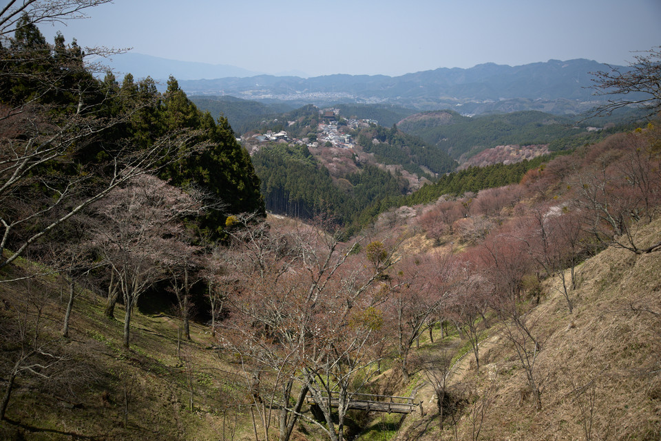 Yoshino - Valley of Blossoms