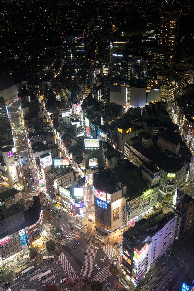 Shibuya Sky - Scramble from Above