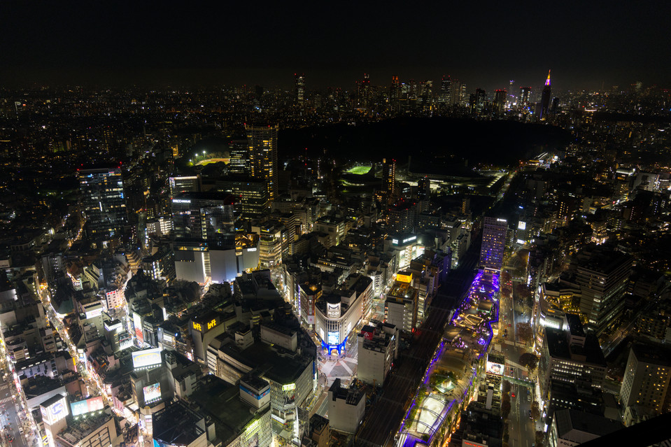 Shibuya Sky - Tokyo at Night II