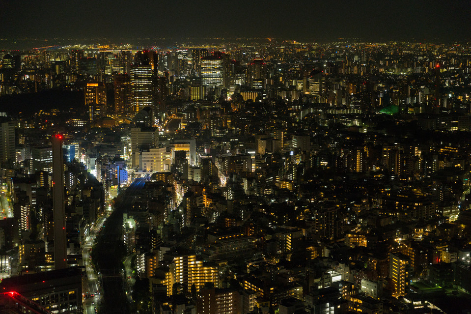 Shibuya Sky - Tokyo at Night I