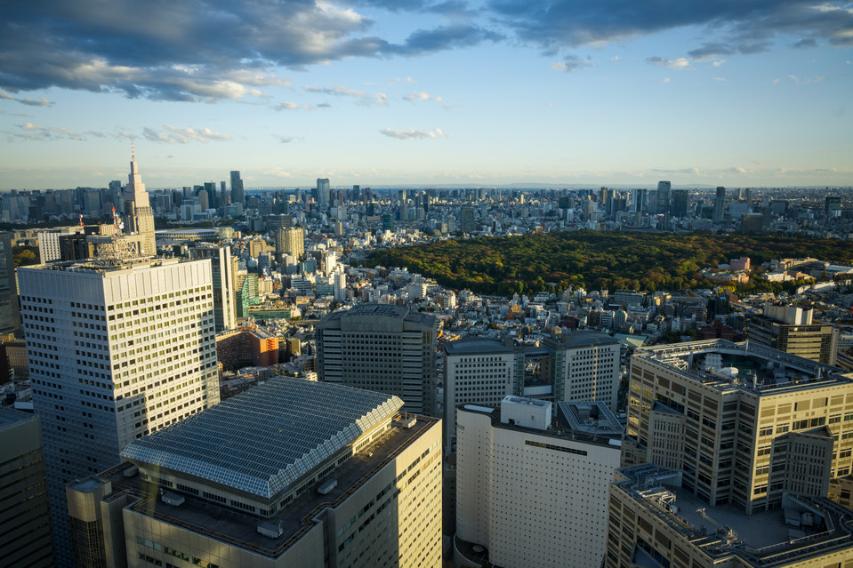 Tokyo Metropolitan Building - Looking Over Shibuya