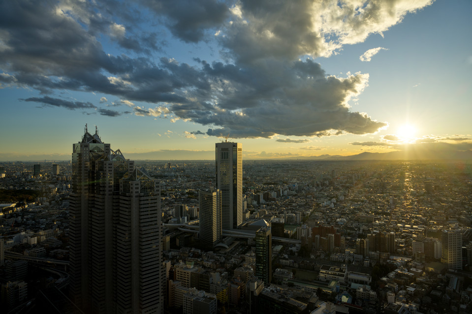 Tokyo Metropolitan Building - Sunset I