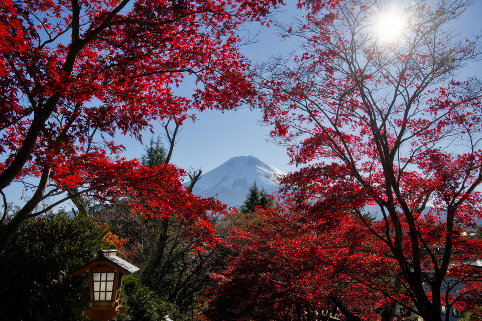 Arakura Fuji Sengen Shrine - Fujisan Window I