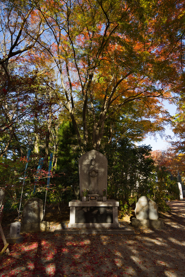 Takaosan - Shrine Beneath the Leaves