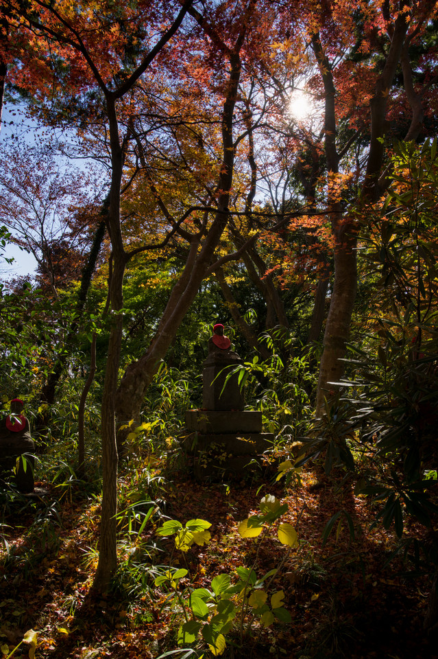 Takaosan - Statues Beneath the Leaves I