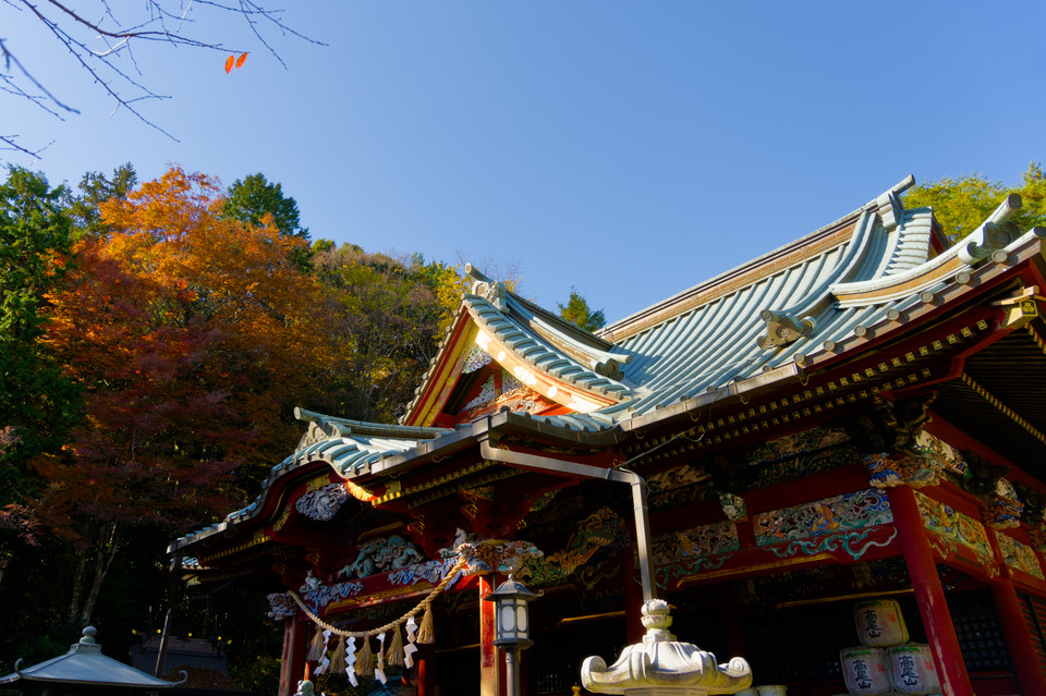 Takaosan - Yakuoin Yukiji Temple