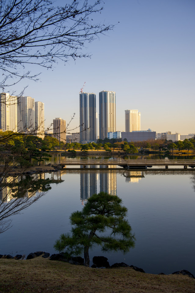 Hamarikyu Gardens - Reflections II