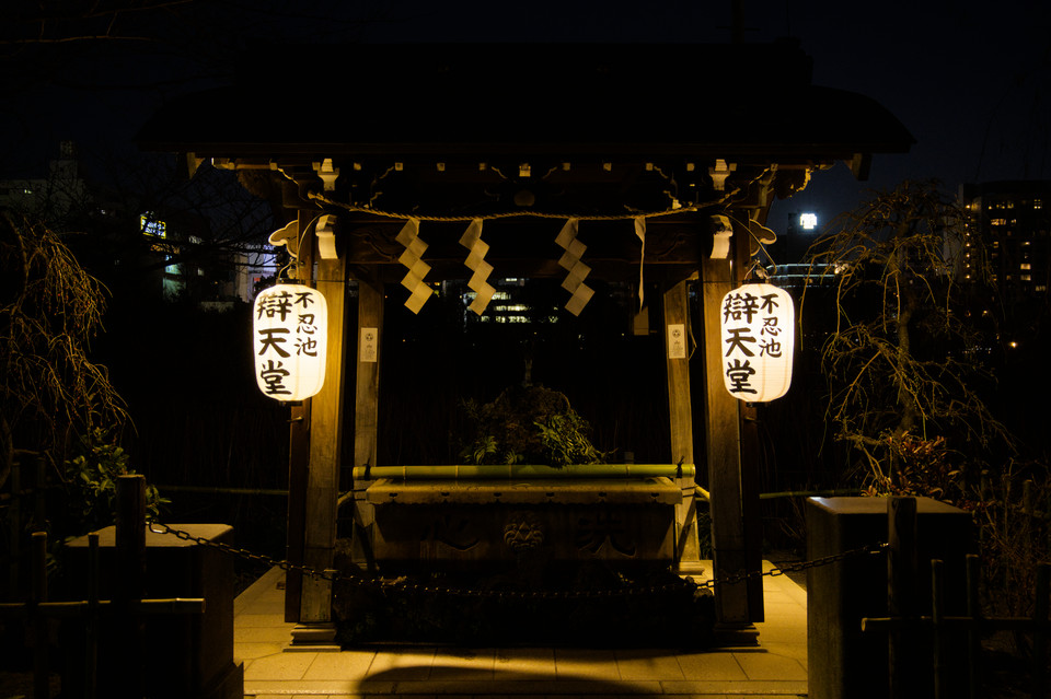 Ueno Park - Choyuza at Night