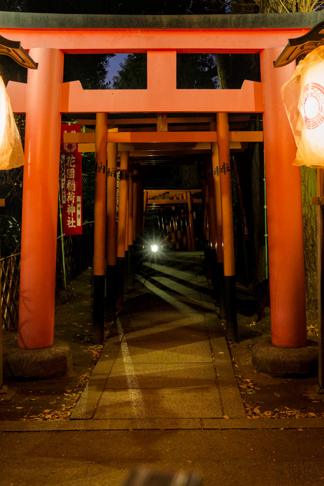 Ueno Park - Torii Tunnel