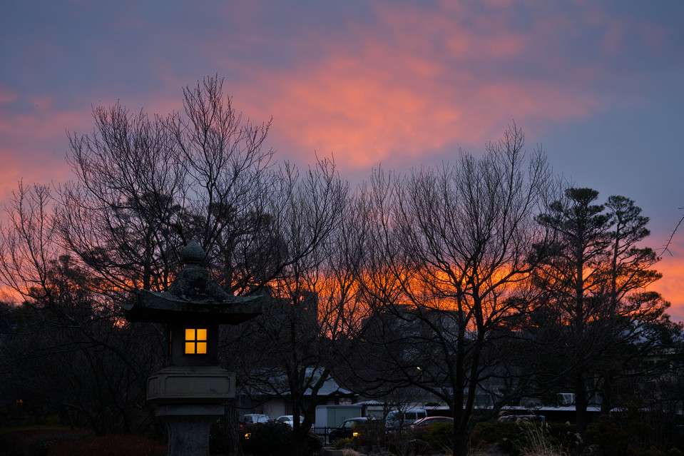 Zenko-ji - Stone Lantern Sunrise