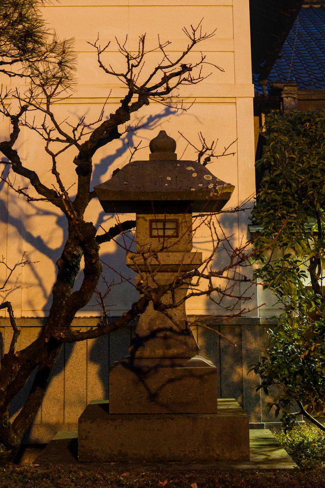 Zenko-ji - Stone Lantern and Branches