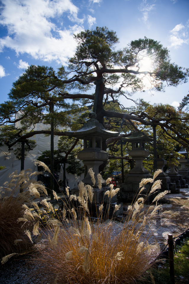 Zenko-ji - Stone Lantern and Foliage