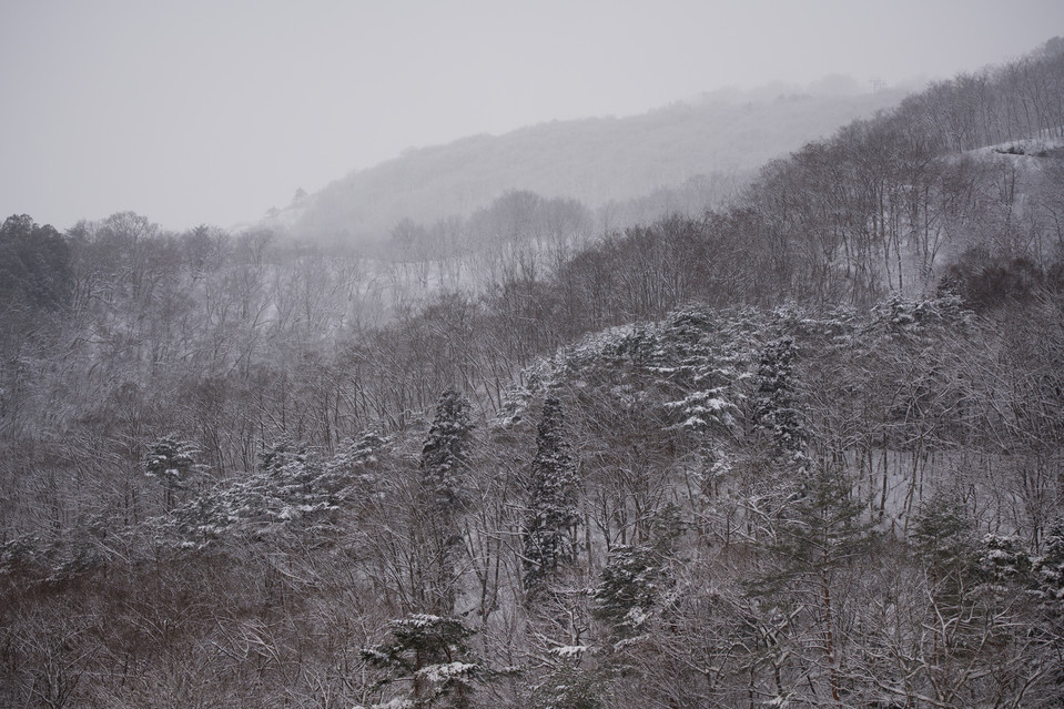 Hakuba - Snowy Mountainside