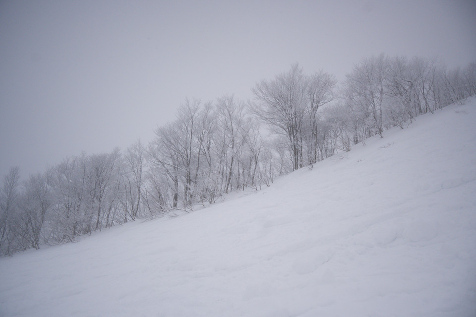 Happo-One - Bare Trees I