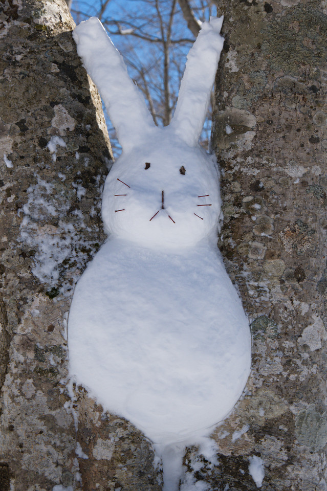 Iwatake - Snow Bunny