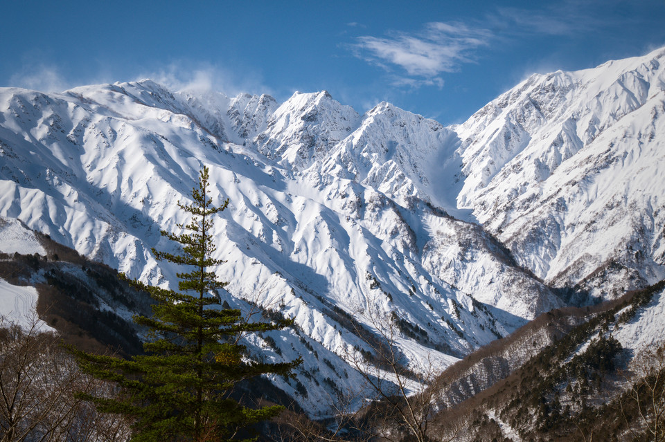 Iwatake - Snow and Foliage II