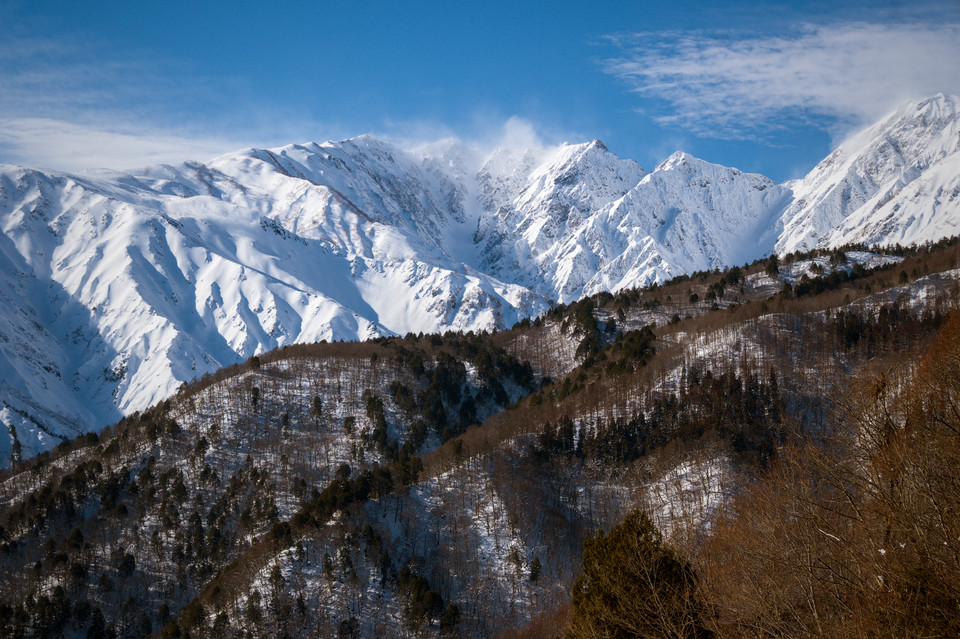 Iwatake - Snow and Foliage I