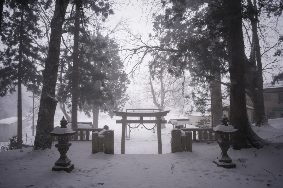 Shimofurimiyahosonosuwa Shrine - In Fog