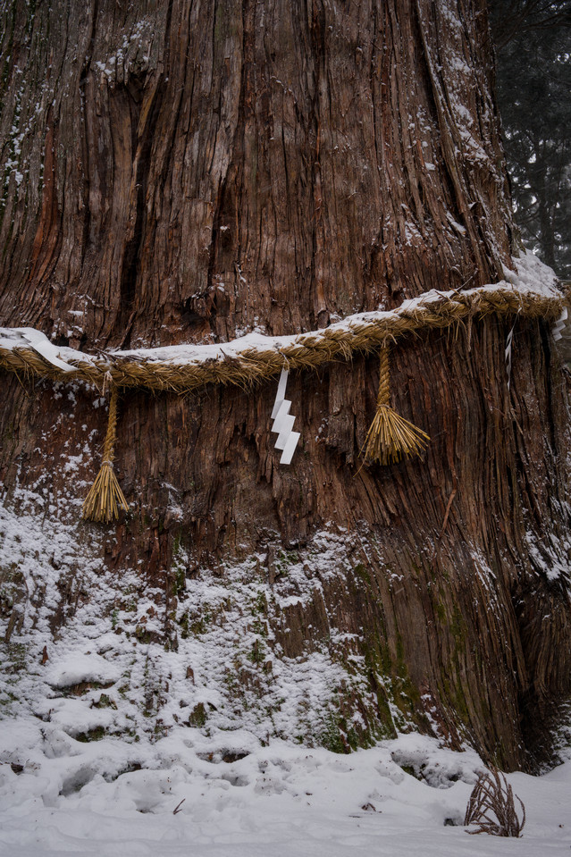Shimofurimiyahosonosuwa Shrine - Shimenawa
