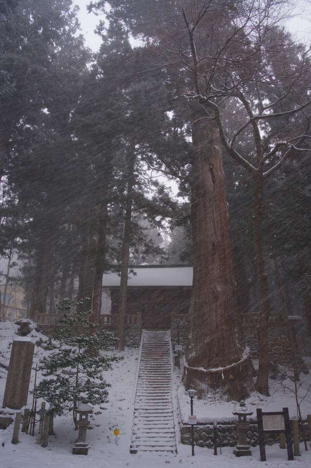 Shimofurimiyahosonosuwa Shrine - Snow-covered Steps