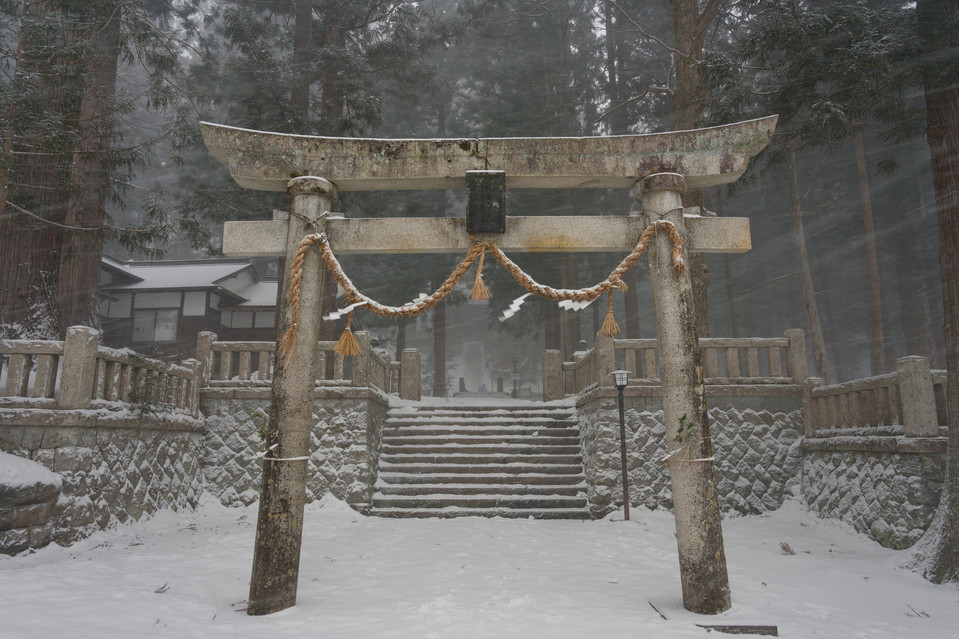 Shimofurimiyahosonosuwa Shrine - Torii