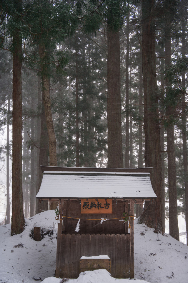 Shimofurimiyahosonosuwa Shrine - Under Snow and Forest