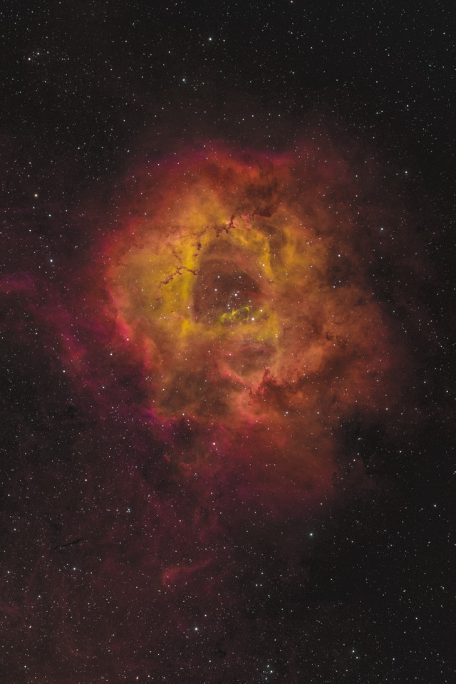 C 49   Rosette Nebula in Narrowband thumb