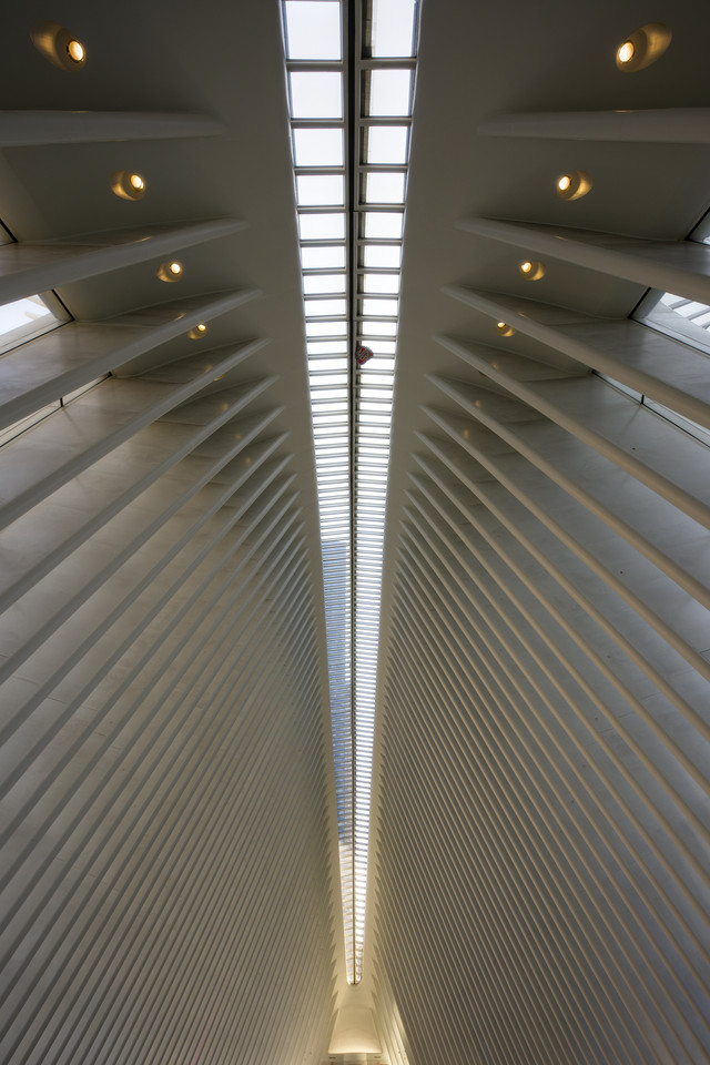 Financial District - World Trade Center Oculus