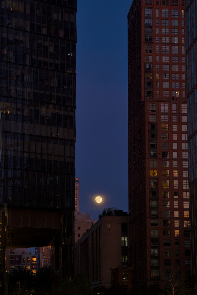 Hudson Yards - Moonrise