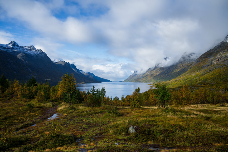 Ersfjorden - Fjord View