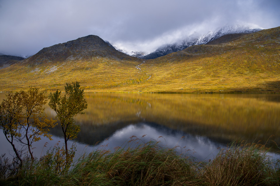 Kattfjordeidet - Autumn Foliage II