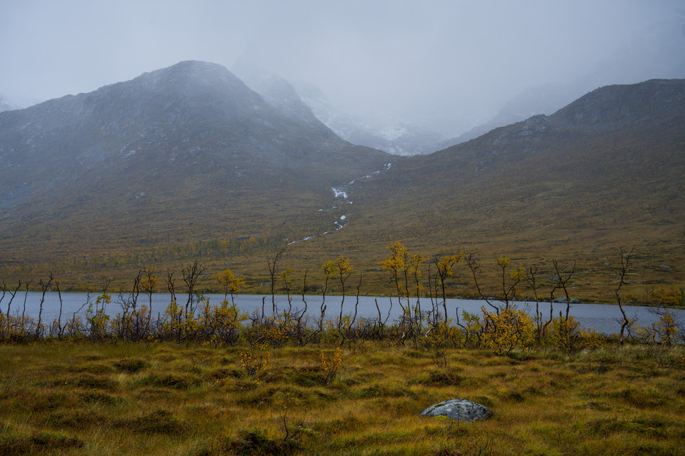 Kattfjordeidet - Autumn Foliage I