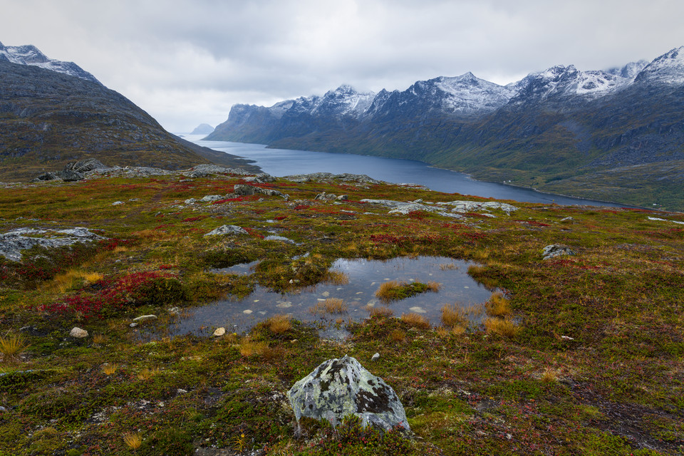 Klokka Ti - Bodies of Water