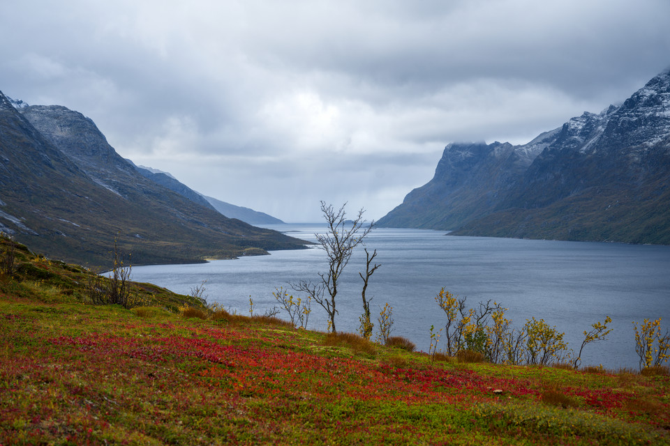Klokka Ti - Ersfjorden and Foliage