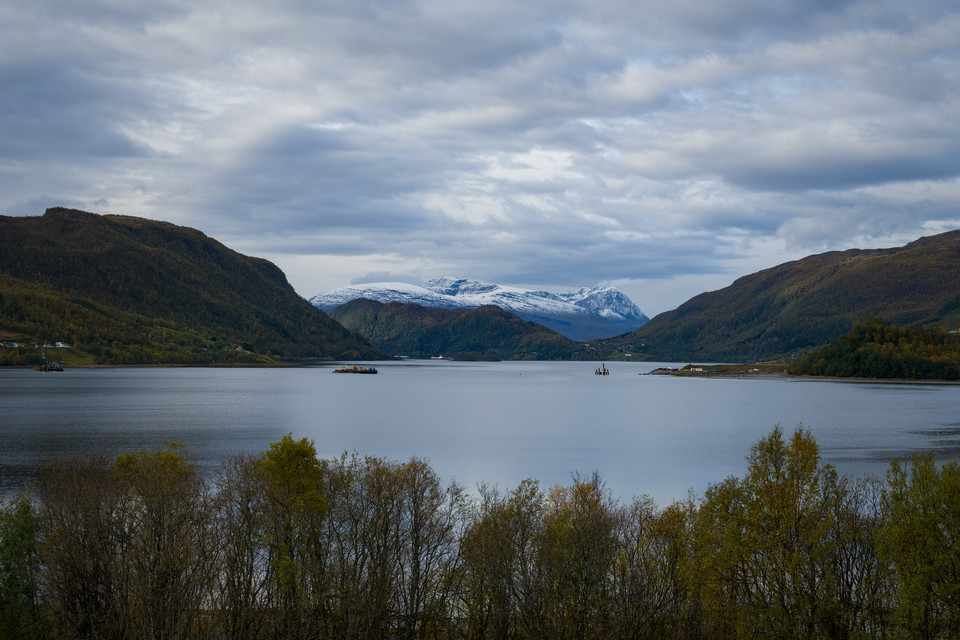 Lyngen - Snowy Peaks I