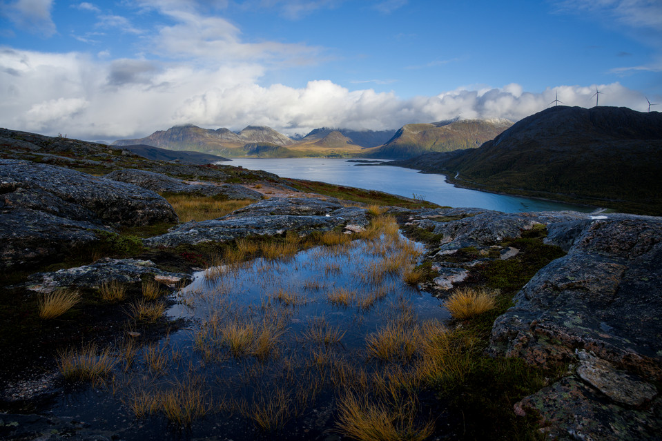 Ornfloya - Fjord View II