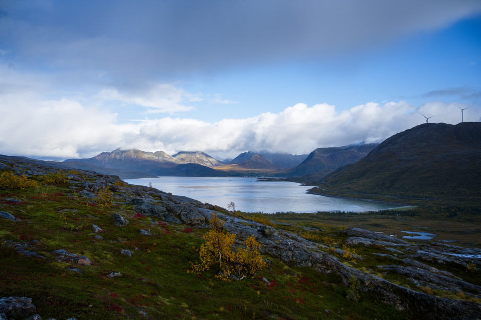 Ornfloya - Fjord View I