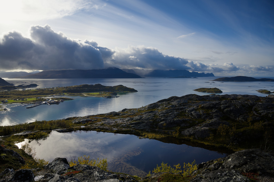 Ornfloya - Rainy Puddles II