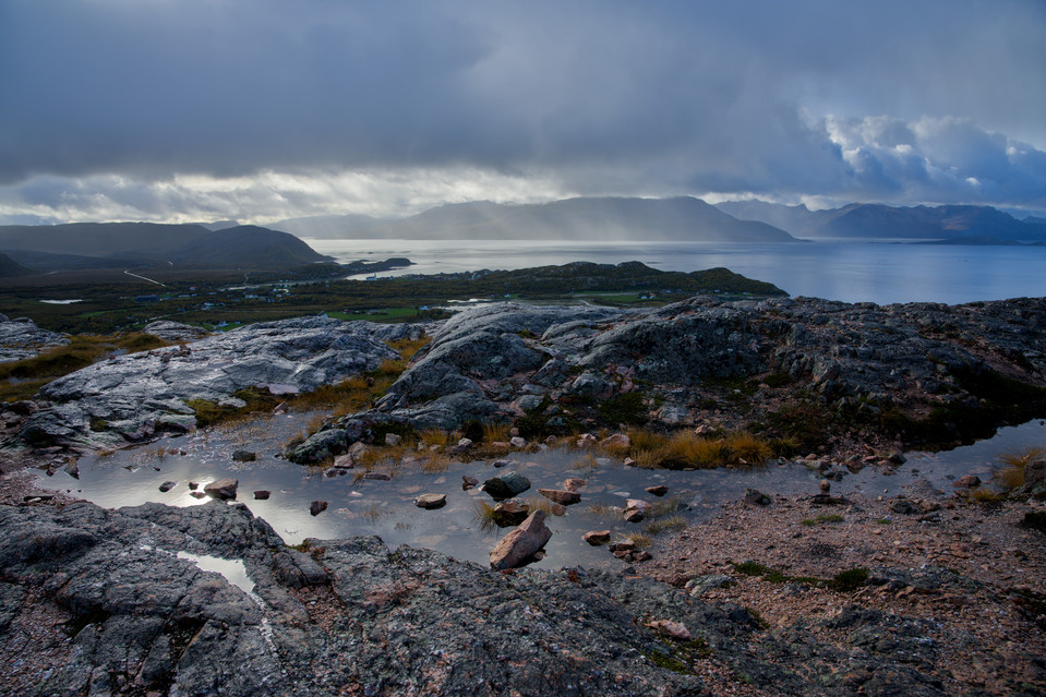 Ornfloya - Rainy Puddles I