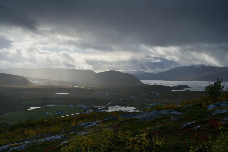 Ornfloya - Stormy Illumination