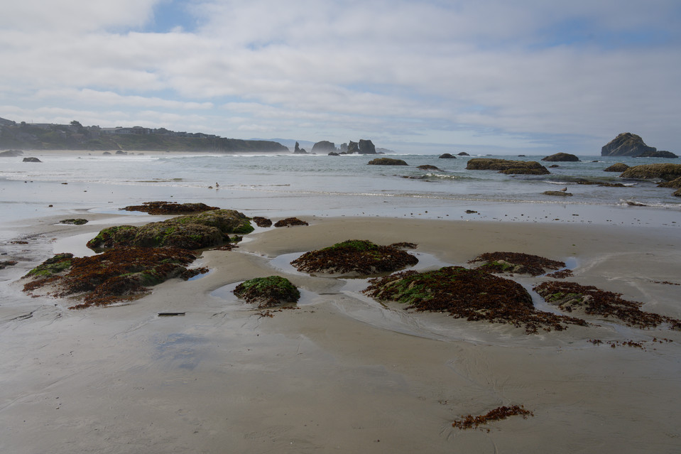 Bandon - Seaweed Ashore