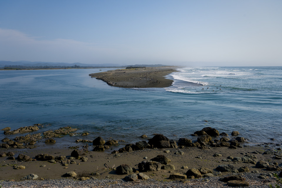 Smith River Passage - Seabirds