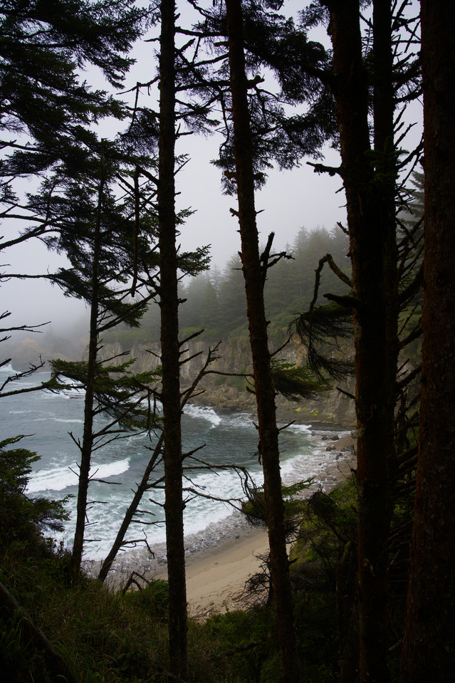 Cape Arago - Lighthouse Viewpoint II