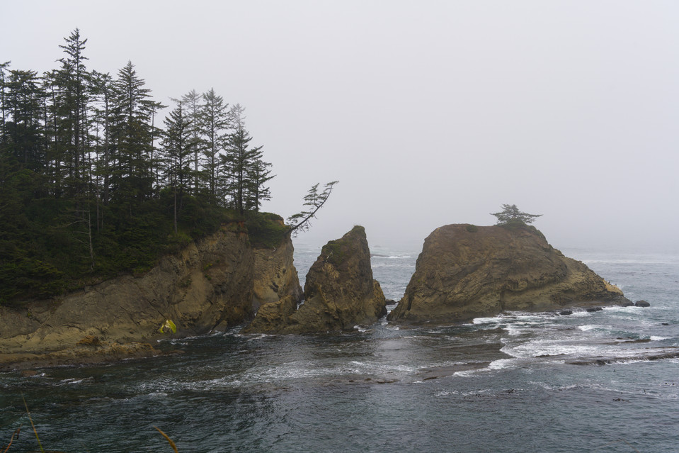 Cape Arago - Lighthouse Viewpoint I