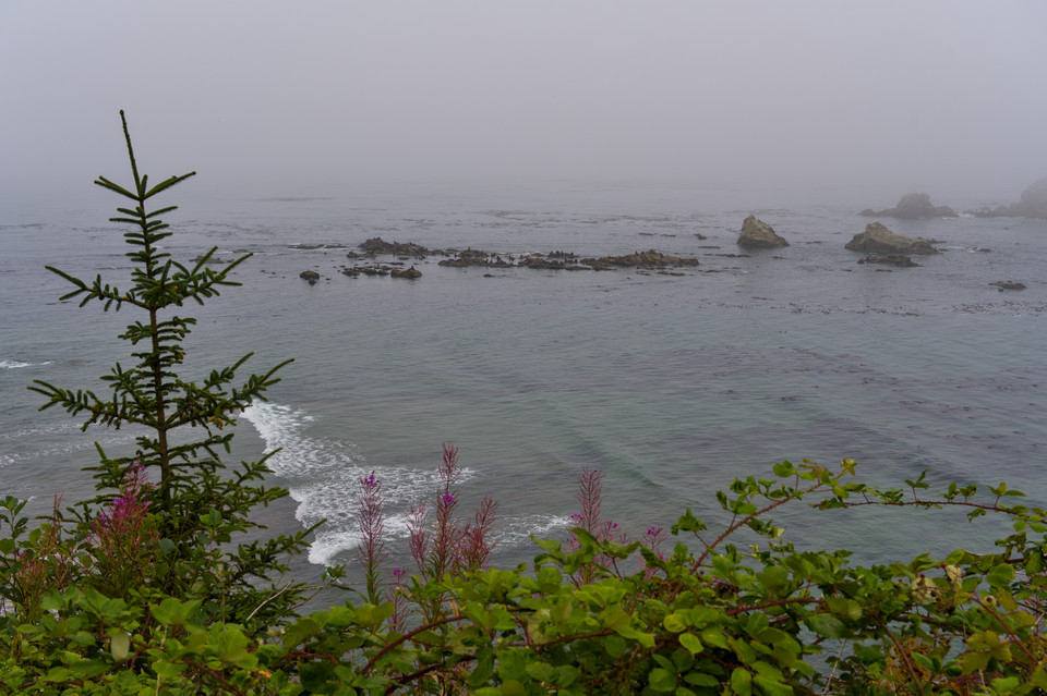 Cape Arago - Simpson Reef