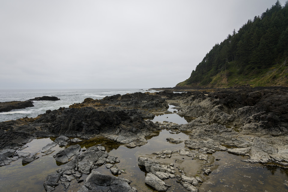 Cape Perpetua - Cape Cove Beach II