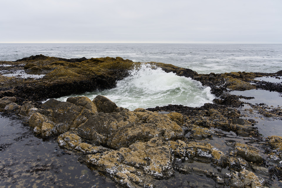 Cape Perpetua - Thors Well