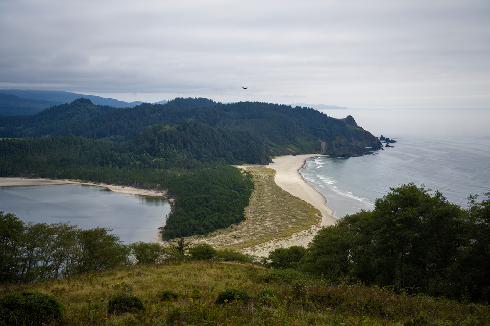 Cascade Head - Mink Creek