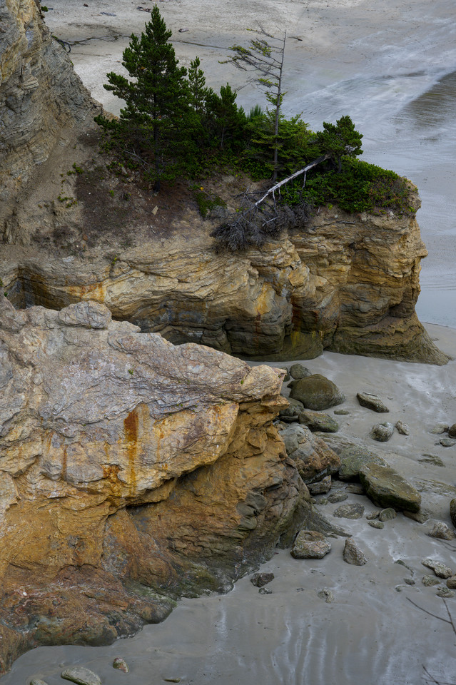 Otter Rock - Cliffs